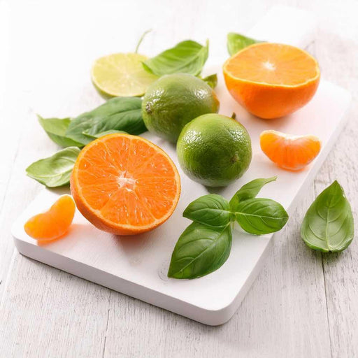 Lime Basil &amp; Mandarin Diffuser Refill - New Dawn UK